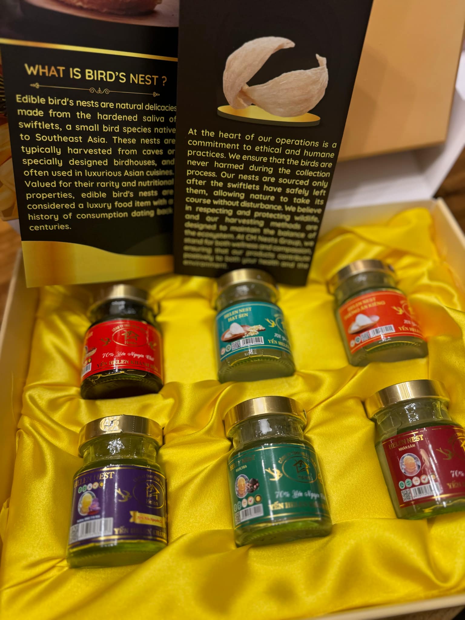 Helen Edible Bird Nest Pack of 6