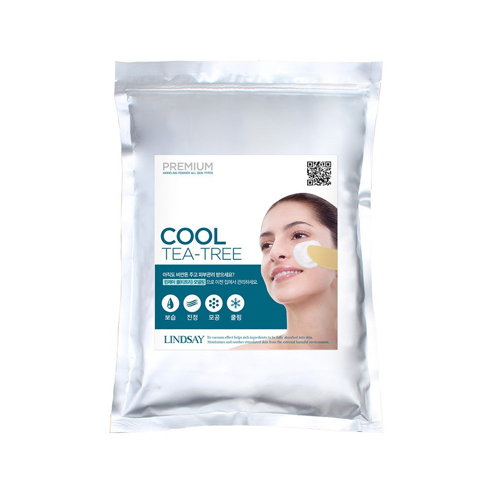 Lindsay Cool Modeling Mask Pack Powder 2.2lb