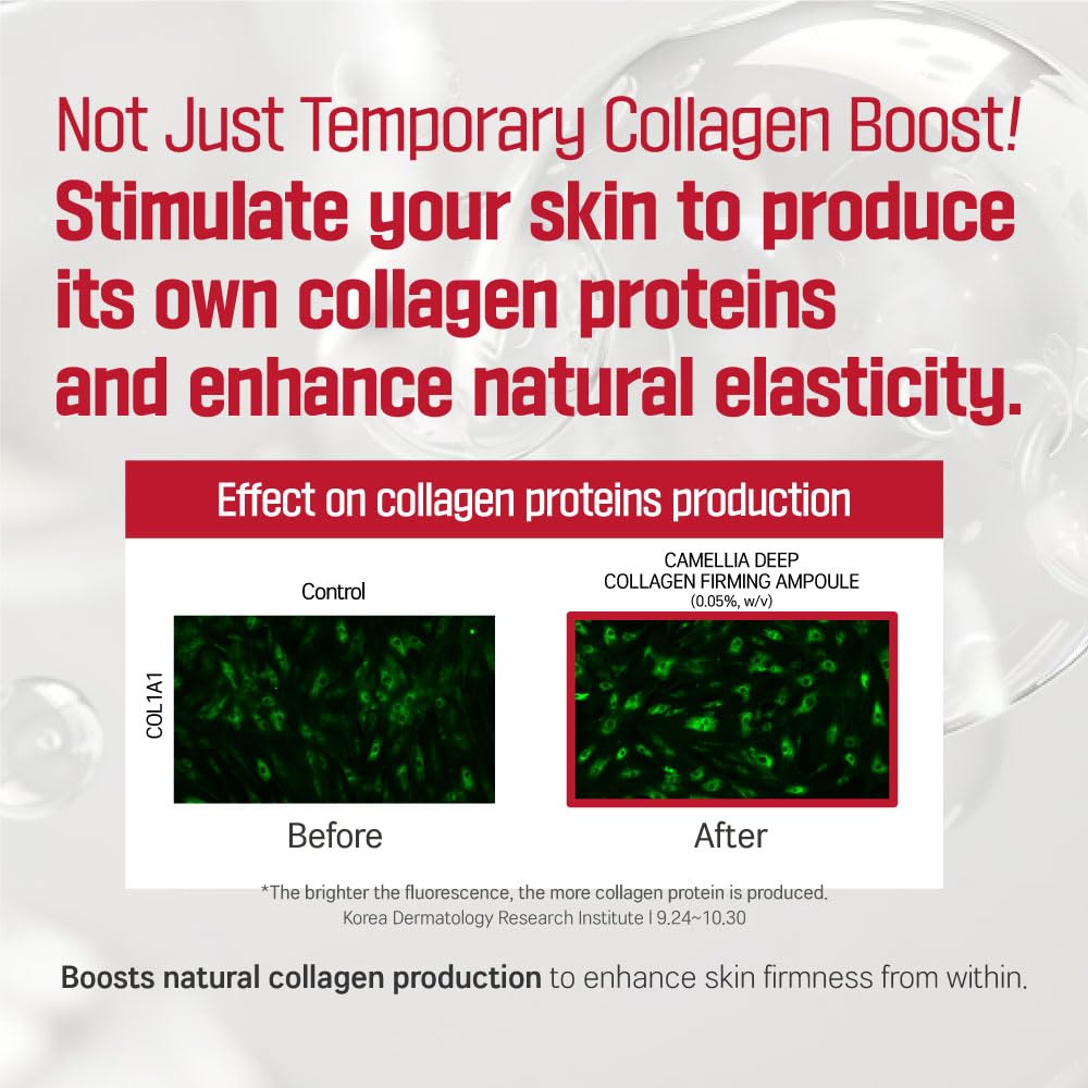 Ampoule raffermissante au collagène profond Camellia de ROUND LAB, 30 ml