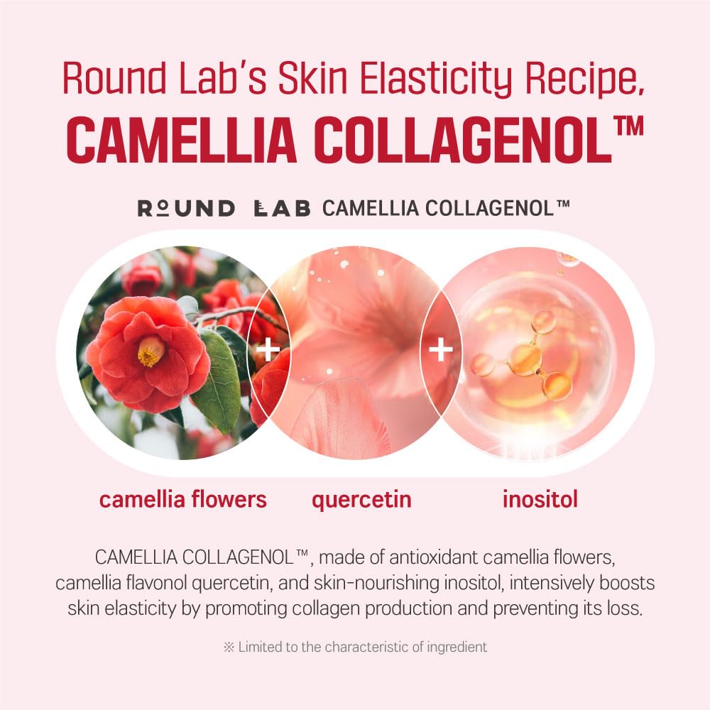 Ampoule raffermissante au collagène profond Camellia de ROUND LAB, 30 ml