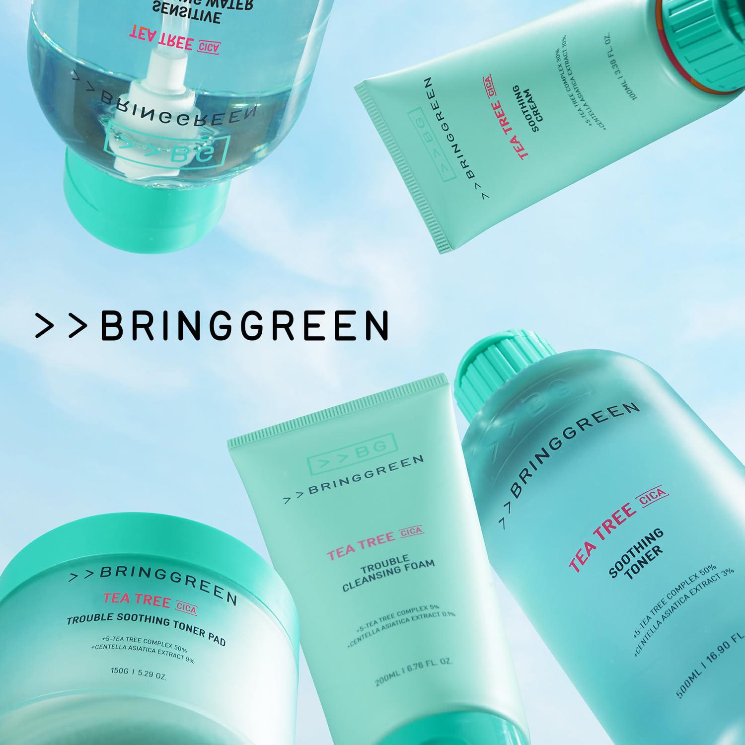 BRING GREEN Tea Tree Cica Trouble Cleansing Foam 300ml