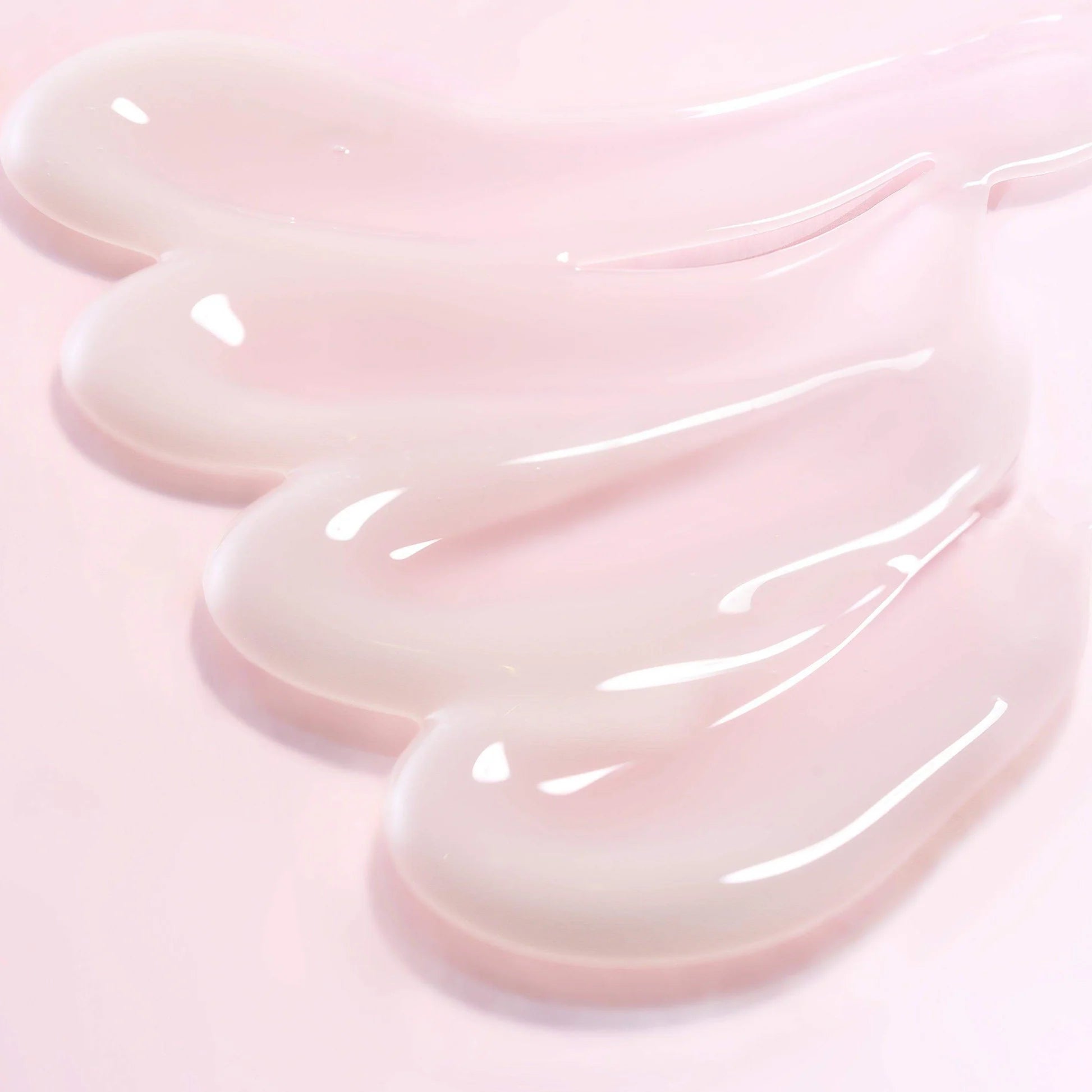 Crème raffermissante au collagène profond Camellia de Round Lab