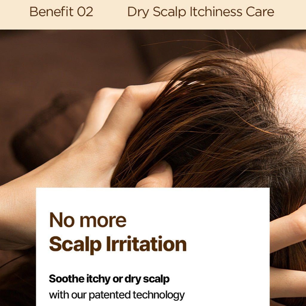 Ryo Hair Loss Expert Care Jeju Breeze Woody Musk Shampoo Treatment Set 585ml + 200ml