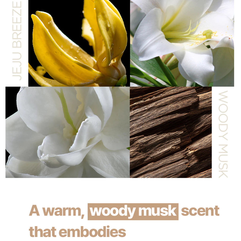 Ryo Hair Loss Expert Care Jeju Breeze Woody Musk Shampoo Treatment Set 585ml + 200ml