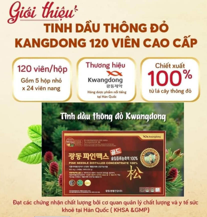 Kwangdong Pine Needle Distilled Concentrate Oil 100% 120 tablets